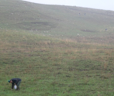 Snail pickers.